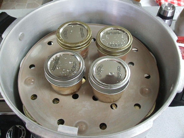 4-ounce jars above pint jars for canning