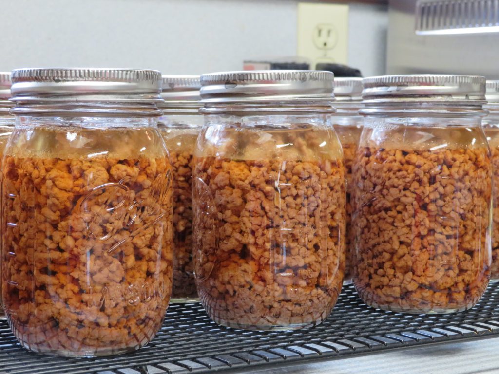 Pint jars of hamburger canned in beef broth