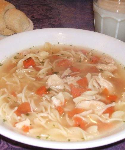 Bowl of Chicken Noodle Soup