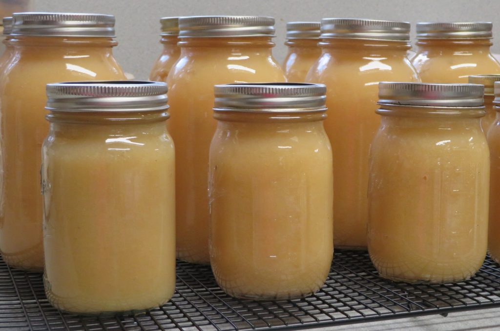 Quart and pint jars of applesauce