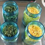 Jars of dried green beans and dried corn