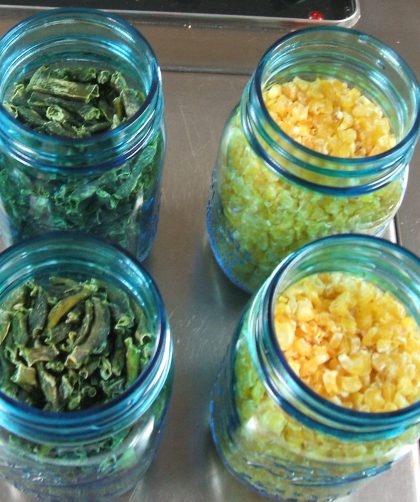 Jars of dried green beans and dried corn