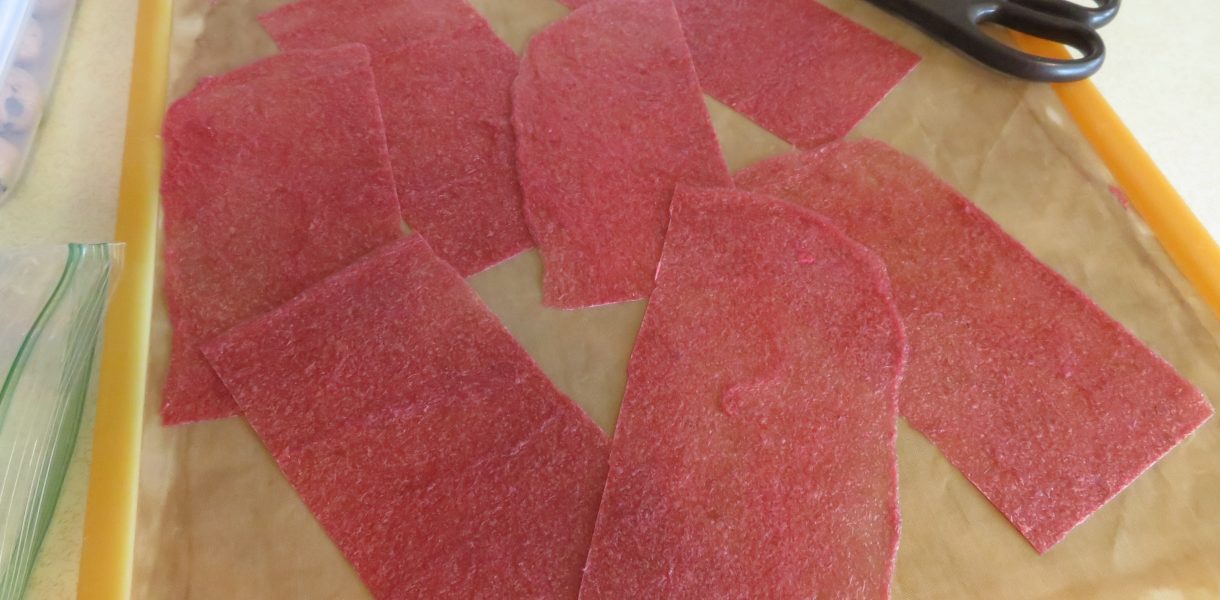 Rhubarb Apple leather cut in pieces