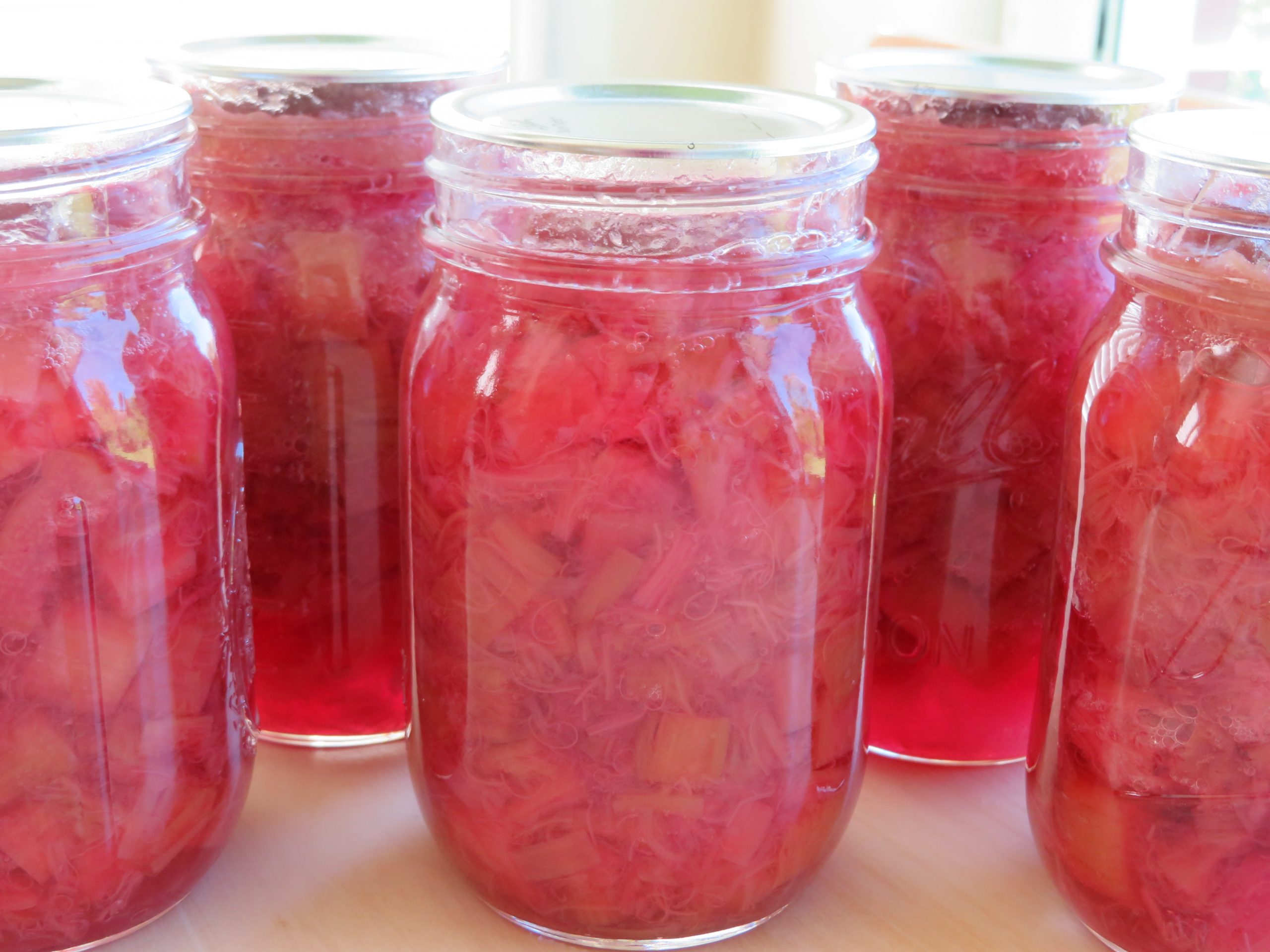 Pint jars of stewed rhubarb
