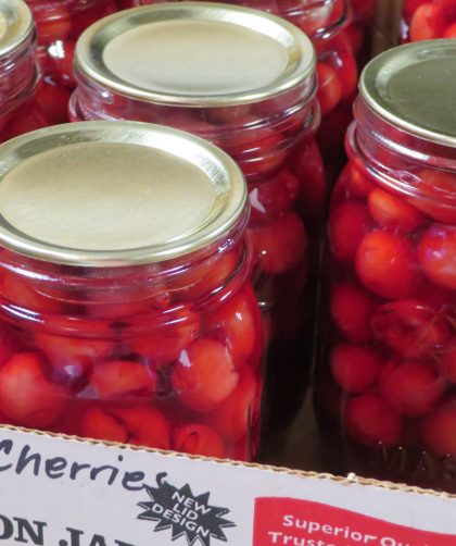 Pint jars of tart cherries