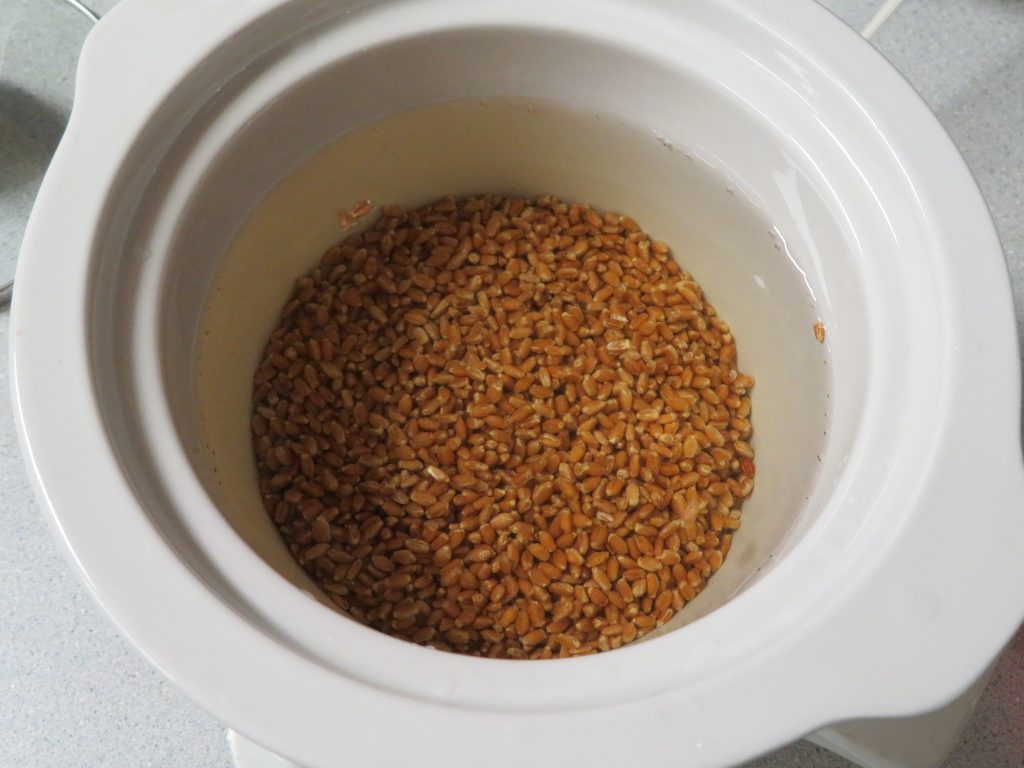 Whole wheat berries in a slow cooker