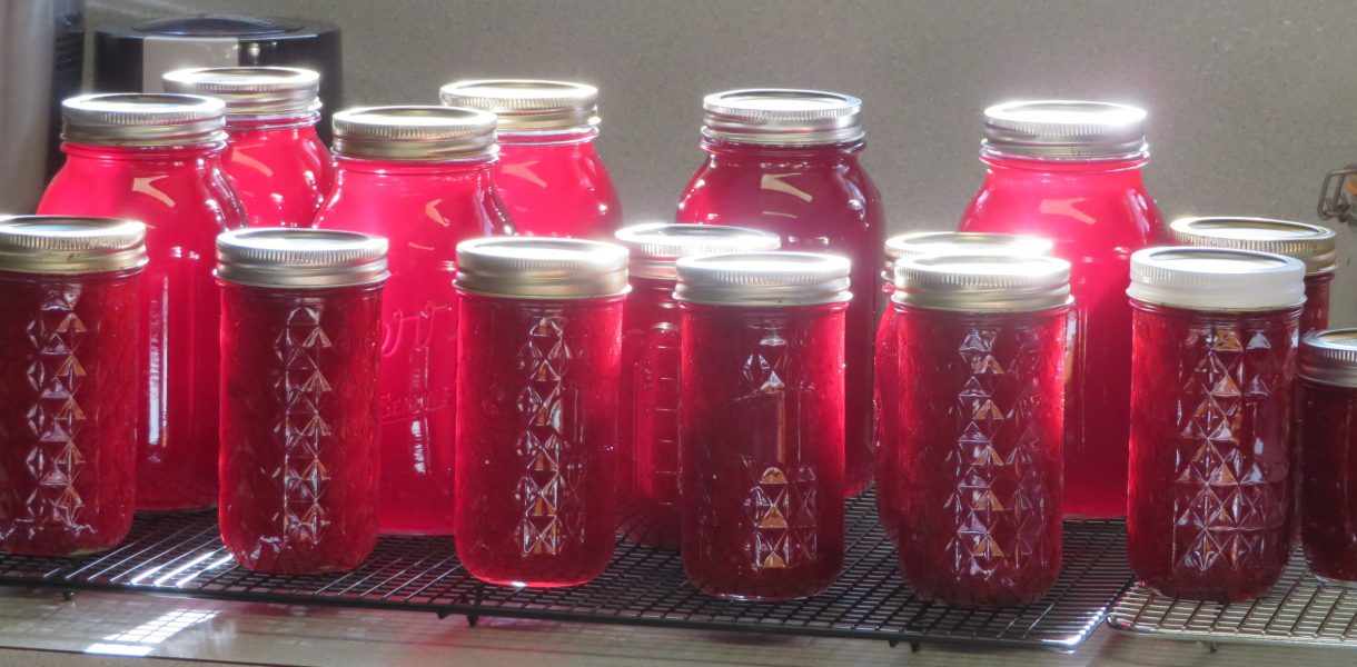 Jars of cranberry juice and cranberry sauce